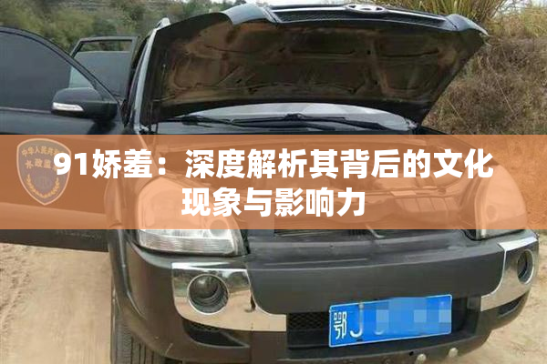 91娇羞：深度解析其背后的文化现象与影响力