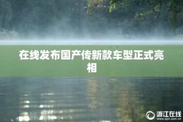 在线发布国产传新款车型正式亮相