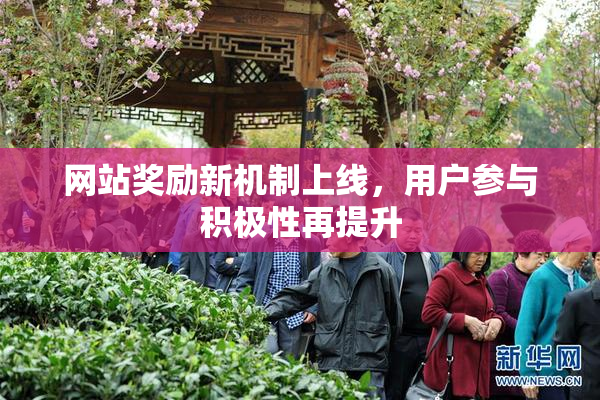 网站奖励新机制上线，用户参与积极性再提升