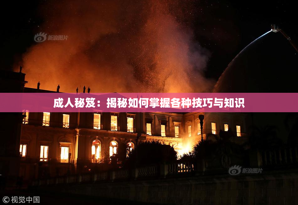 成人秘笈：揭秘如何掌握各种技巧与知识