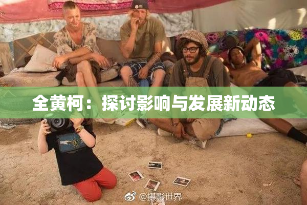 全黄柯：探讨影响与发展新动态
