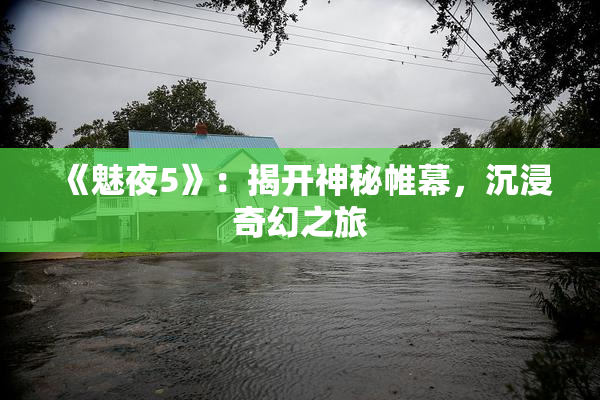《魅夜5》：揭开神秘帷幕，沉浸奇幻之旅