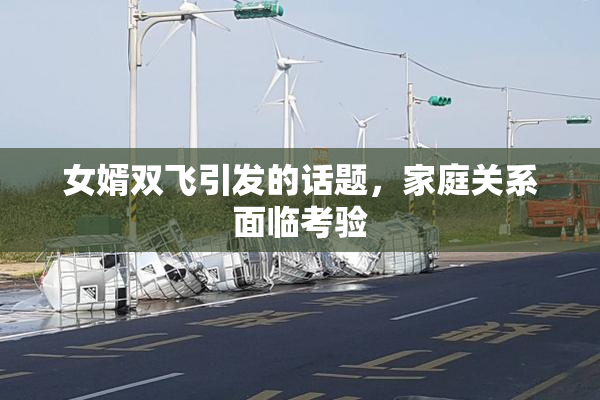 女婿双飞引发的话题，家庭关系面临考验
