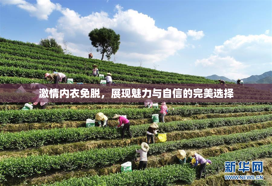 激情内衣免脱，展现魅力与自信的完美选择