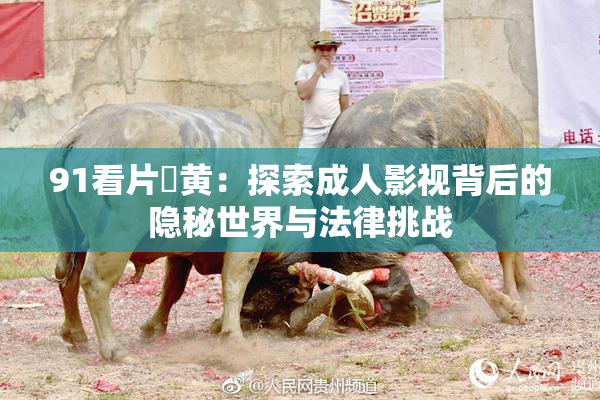 91看片婬黄：探索成人影视背后的隐秘世界与法律挑战