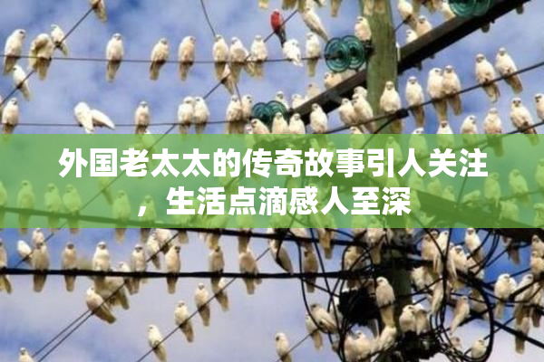 外国老太太的传奇故事引人关注，生活点滴感人至深