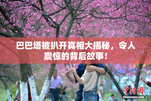 巴巴塔被扒开真相大揭秘，令人震惊的背后故事！