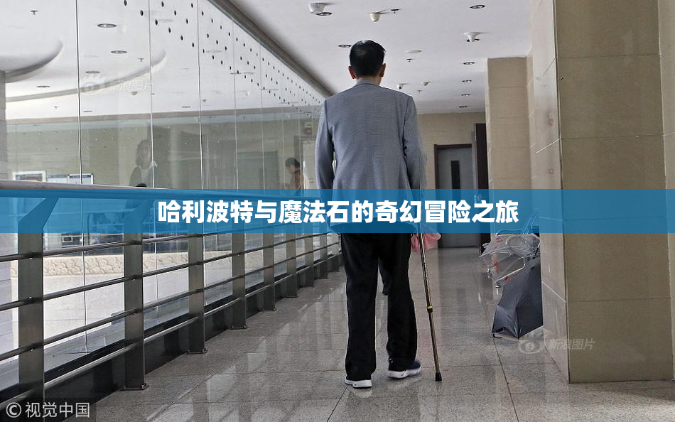 哈利波特与魔法石的奇幻冒险之旅