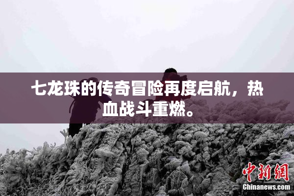 七龙珠的传奇冒险再度启航，热血战斗重燃。