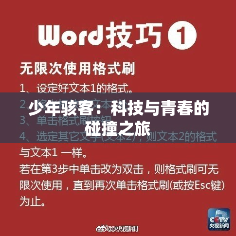 少年骇客：科技与青春的碰撞之旅