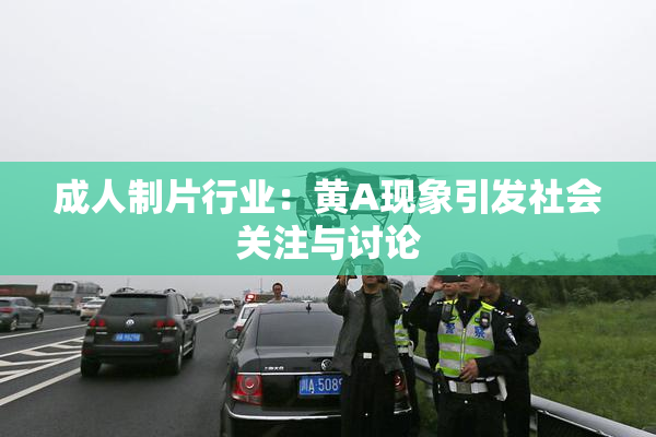成人制片行业：黄A现象引发社会关注与讨论