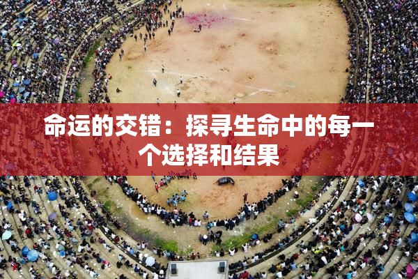 命运的交错：探寻生命中的每一个选择和结果