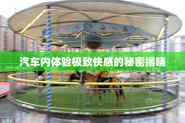 汽车内体验极致快感的秘密揭晓