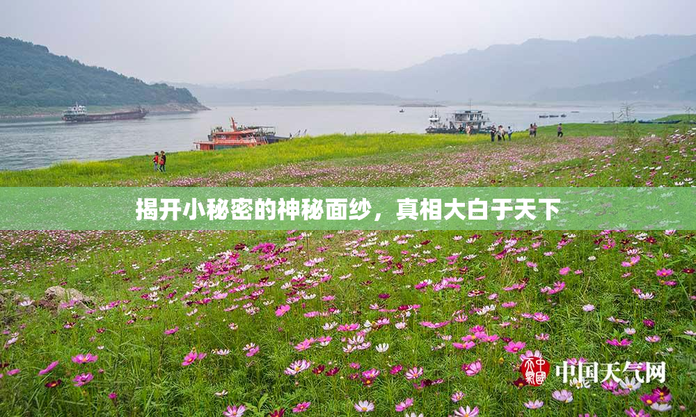 揭开小秘密的神秘面纱，真相大白于天下