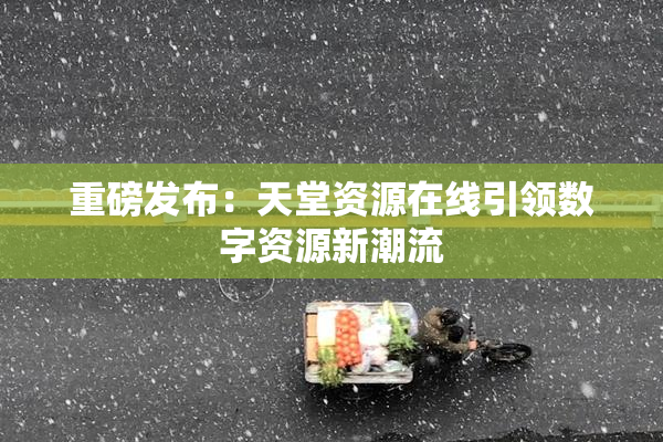 重磅发布：天堂资源在线引领数字资源新潮流
