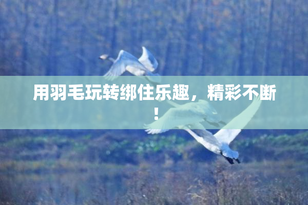 用羽毛玩转绑住乐趣，精彩不断！