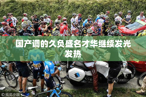 国产调的久负盛名才华继续发光发热