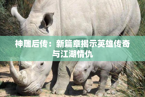 神雕后传：新篇章揭示英雄传奇与江湖情仇