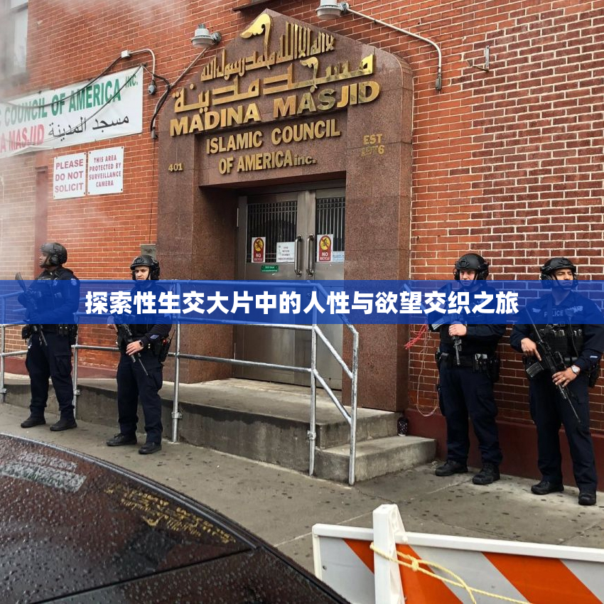 探索性生交大片中的人性与欲望交织之旅