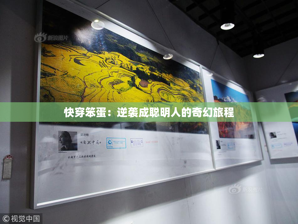 快穿笨蛋：逆袭成聪明人的奇幻旅程