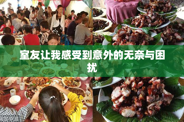 室友让我感受到意外的无奈与困扰