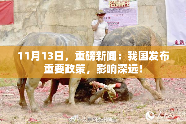 11月13日，重磅新闻：我国发布重要政策，影响深远！