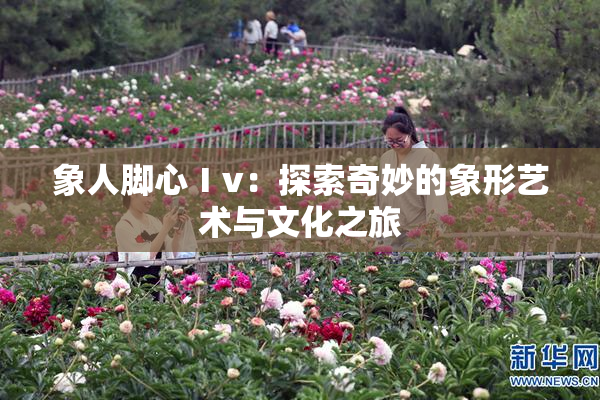 象人脚心Ⅰv：探索奇妙的象形艺术与文化之旅