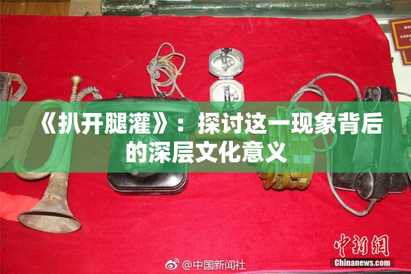 《扒开腿灌》：探讨这一现象背后的深层文化意义