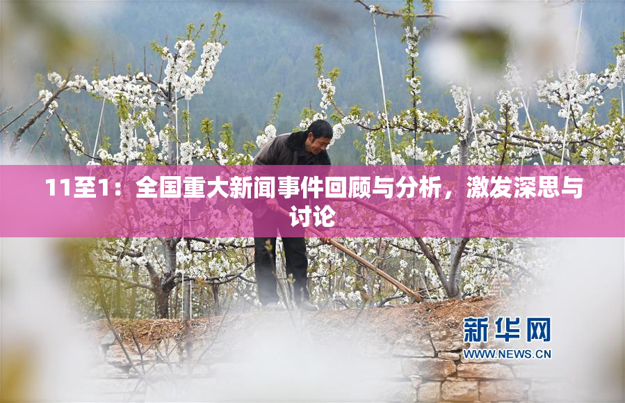 11至1：全国重大新闻事件回顾与分析，激发深思与讨论