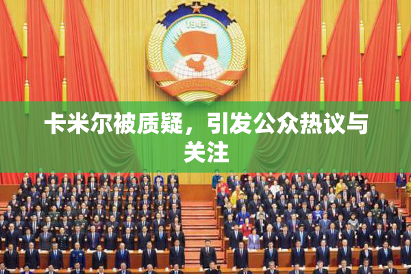 卡米尔被质疑，引发公众热议与关注