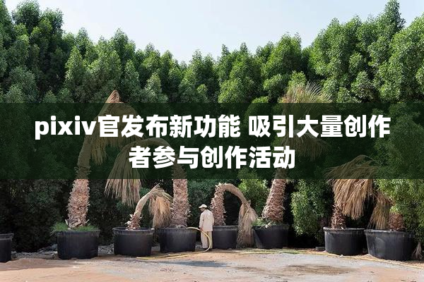 pixiv官发布新功能 吸引大量创作者参与创作活动
