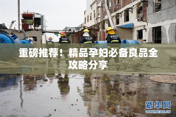 重磅推荐！精品孕妇必备良品全攻略分享