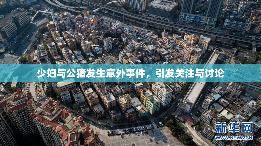 少妇与公猪发生意外事件，引发关注与讨论