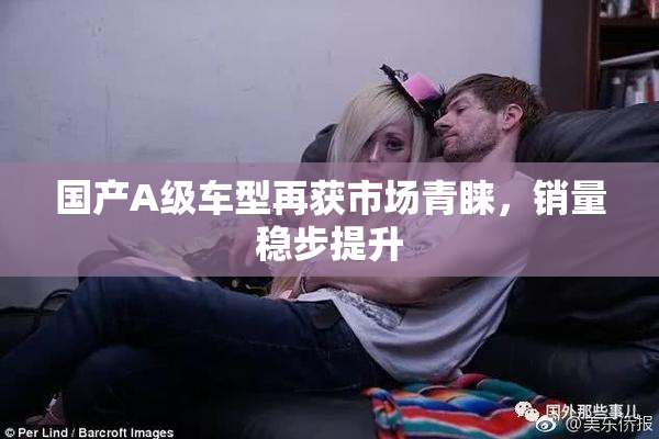国产A级车型再获市场青睐，销量稳步提升