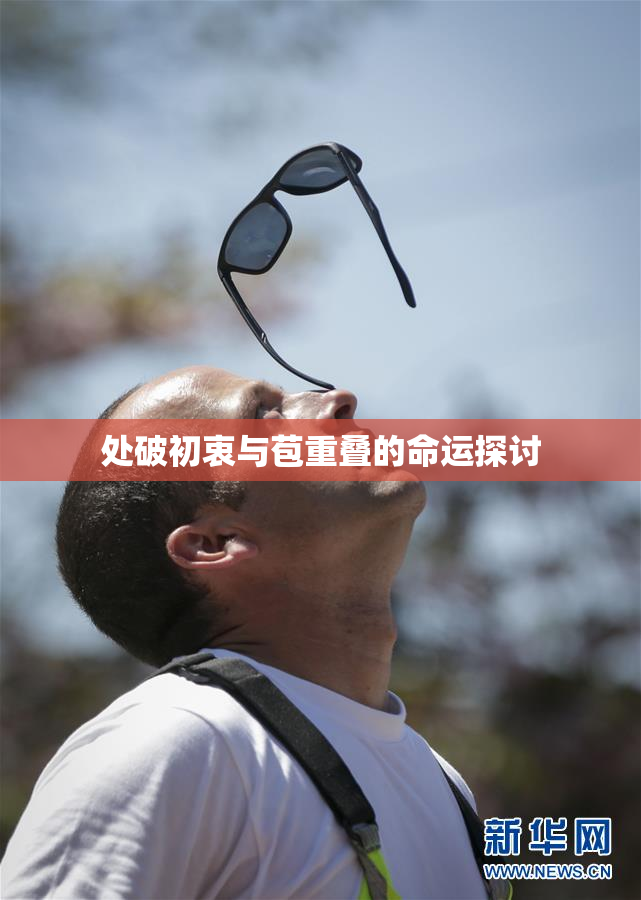 处破初衷与苞重叠的命运探讨
