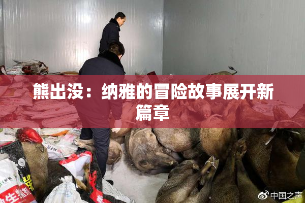 熊出没：纳雅的冒险故事展开新篇章