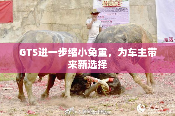 GTS进一步缩小免重，为车主带来新选择