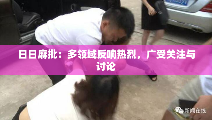 日日麻批：多领域反响热烈，广受关注与讨论