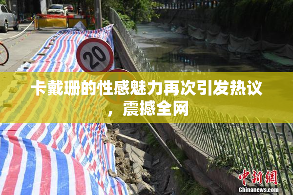 卡戴珊的性感魅力再次引发热议，震撼全网