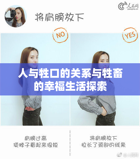 人与牲口的关系与牲畜的幸福生活探索