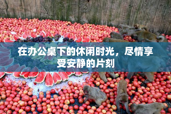 在办公桌下的休闲时光，尽情享受安静的片刻