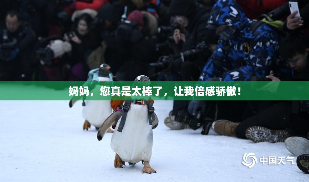 妈妈，您真是太棒了，让我倍感骄傲！