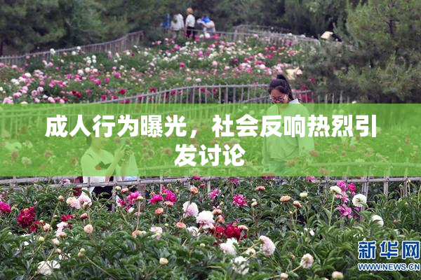 成人行为曝光，社会反响热烈引发讨论