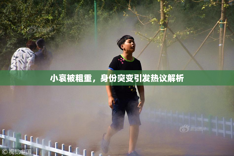 小哀被粗重，身份突变引发热议解析