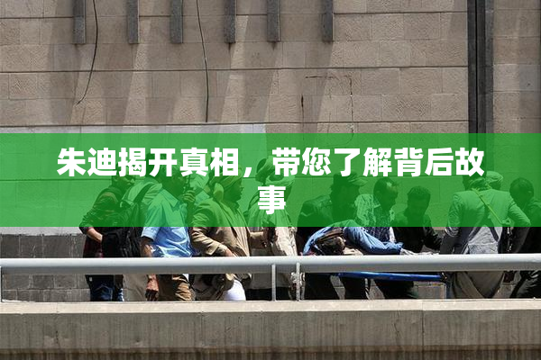 朱迪揭开真相，带您了解背后故事