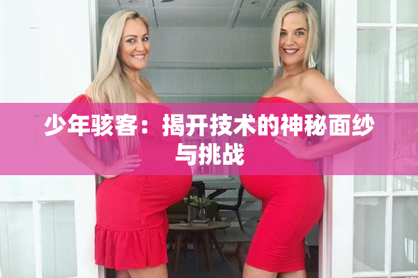 少年骇客：揭开技术的神秘面纱与挑战