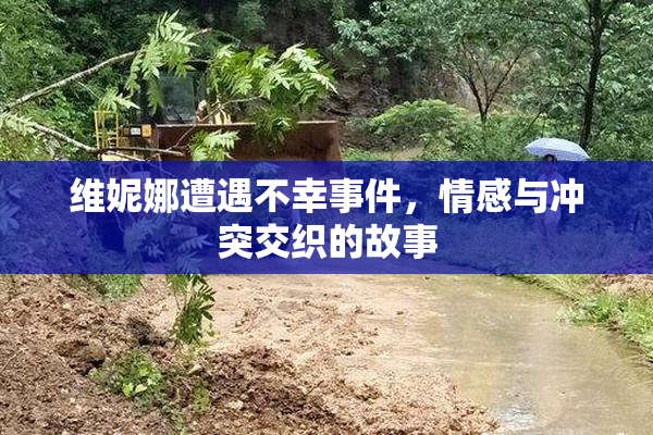 维妮娜遭遇不幸事件，情感与冲突交织的故事