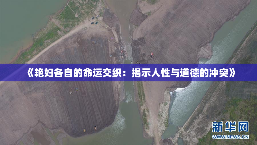 《艳妇各自的命运交织：揭示人性与道德的冲突》