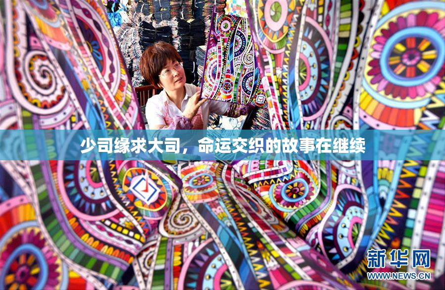 少司缘求大司，命运交织的故事在继续