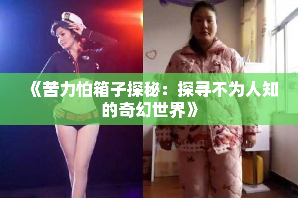《苦力怕箱子探秘：探寻不为人知的奇幻世界》